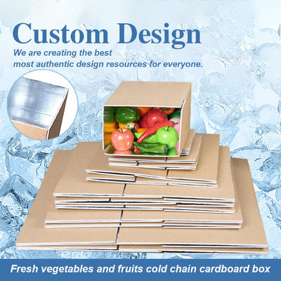 Wholesale Biodegradable Large Foam Cooler Insulated Carton Box with Styrofoam for Seafood Box Type Folder