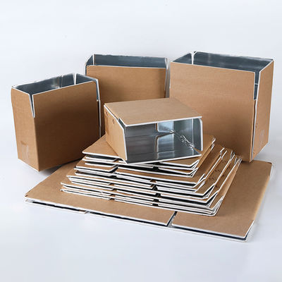 Wholesale Biodegradable Large Foam Cooler Insulated Carton Box with Styrofoam for Seafood Box Type Folder