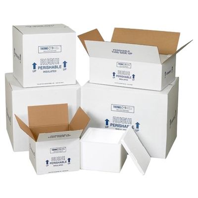 Wholesale Biodegradable Large Foam Cooler Insulated Carton Box with Styrofoam for Seafood Box Type Folder
