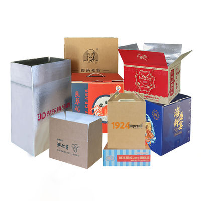 Thermal Insulation Carton Boxes Bubble Liner Bag for Frozen Food Insulated Cold Shipping Cooler Box