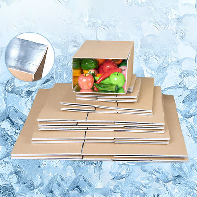 Thermal Insulation Carton Boxes Bubble Liner Bag for Frozen Food Insulated Cold Shipping Cooler Box