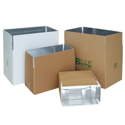 Custom Logo Carton Aluminum Foil Box Fish Meat Vegetables Fruit Styrofoam Lunch Insulated Shipping Big Frozen Product Box