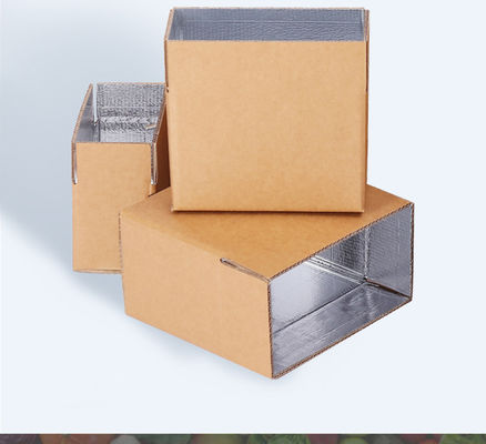 Custom Logo Carton Aluminum Foil Box Fish Meat Vegetables Fruit Styrofoam Lunch Insulated Shipping Big Frozen Product Box